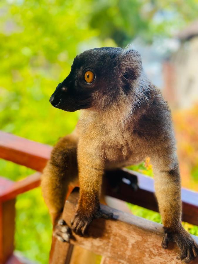 Tamarin Lodge Ampangorinana Esterno foto