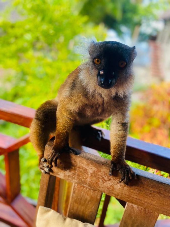 Tamarin Lodge Ampangorinana Esterno foto