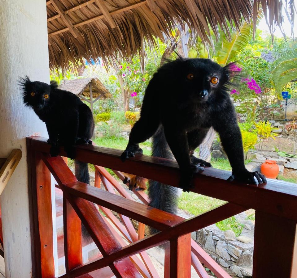 Tamarin Lodge Ampangorinana Esterno foto