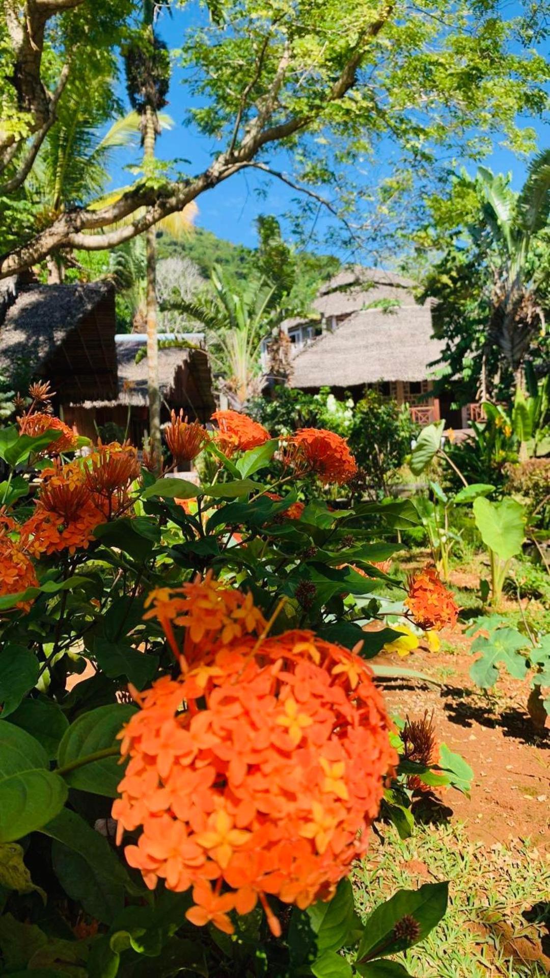 Tamarin Lodge Ampangorinana Esterno foto
