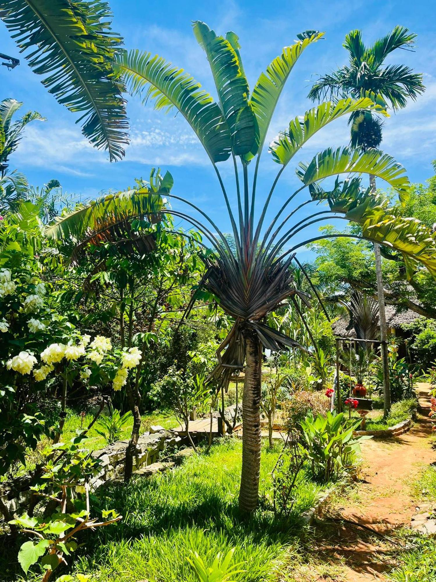 Tamarin Lodge Ampangorinana Esterno foto