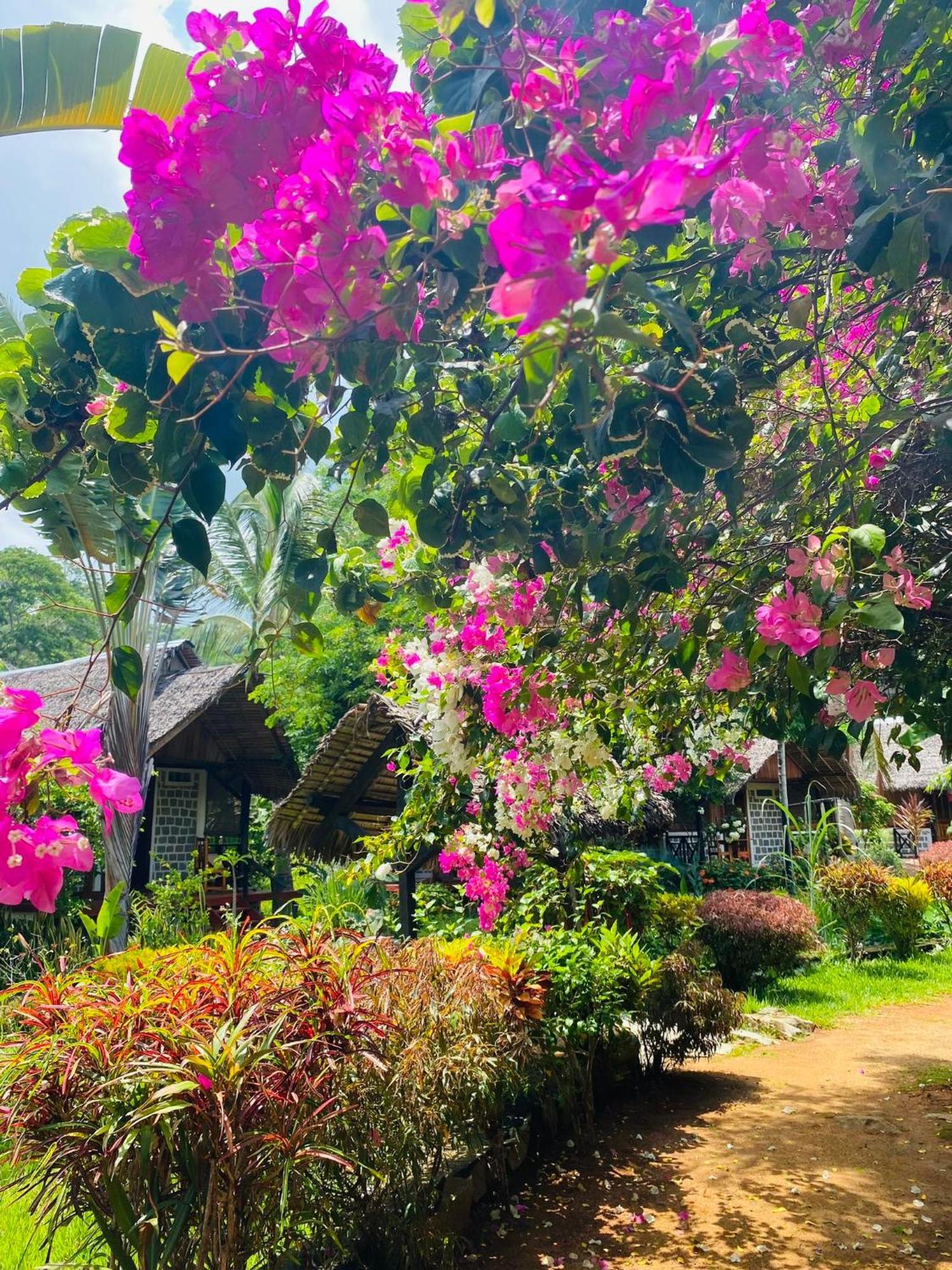 Tamarin Lodge Ampangorinana Esterno foto