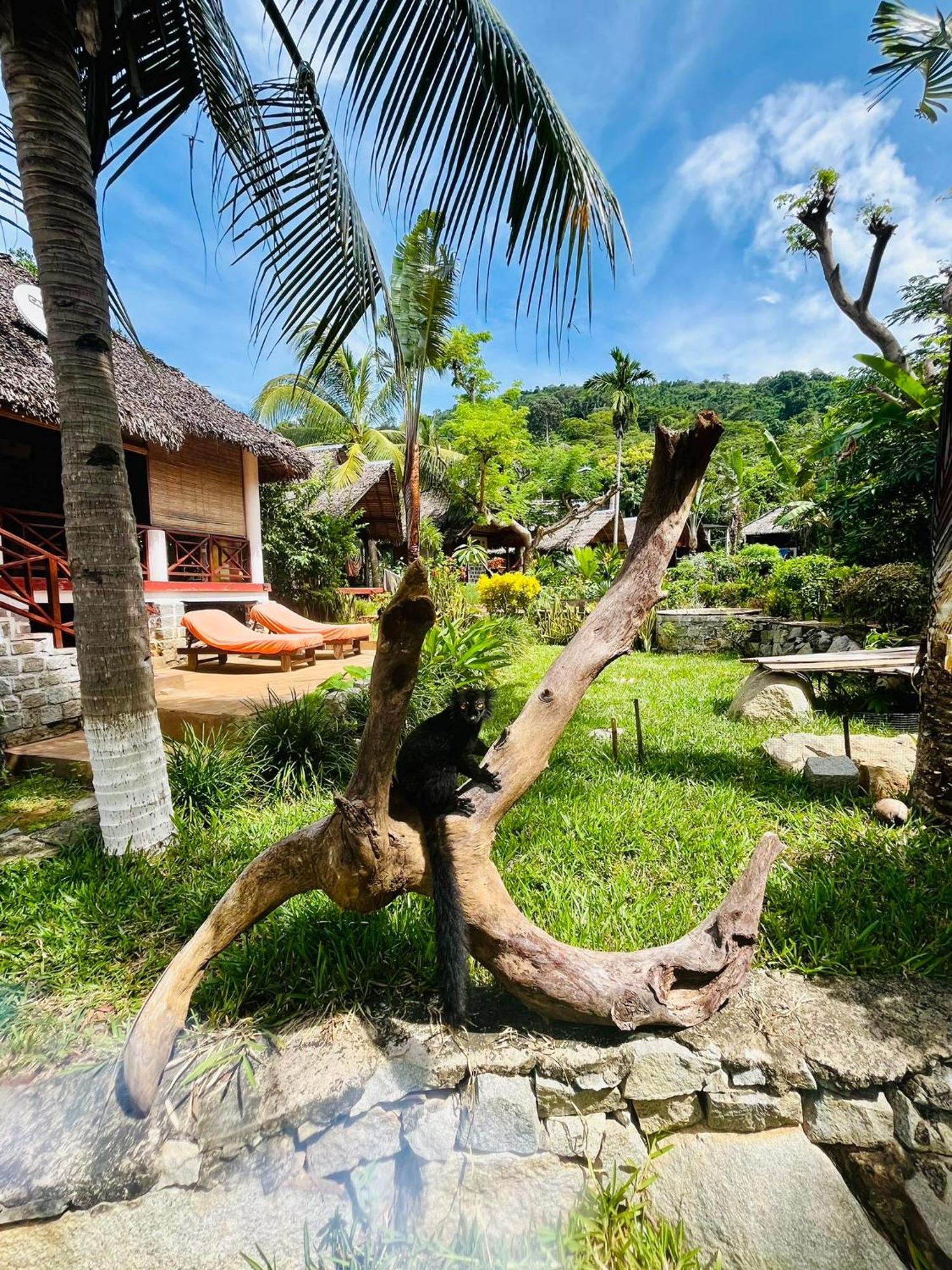 Tamarin Lodge Ampangorinana Esterno foto